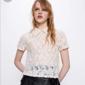 Zara textured ivory lace collared blouse NWT